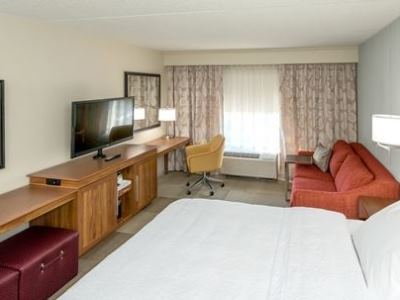 Hampton Inn-pontiac 3*